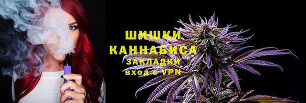 mdpv Ельня