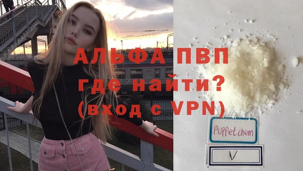 spice Елизово