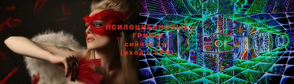эйфоретик Фёдоровский